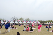 봄내음 가득했던 강릉 경포 벚꽃축제, 성황리에 마무리