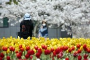 미세먼지에도 '봄이로소이다'…전국 꽃축제·관광지 '북적'