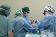 미국서 ,유전자 조작, 돼지 신장 뇌사자 체내에 첫 이식